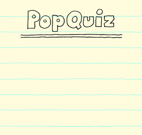 Pop Quiz Love GIF by Chippy the Dog