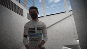 Formula 1 Fist Bump GIF by McLaren