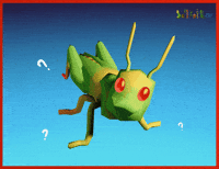 What The Wtf GIF