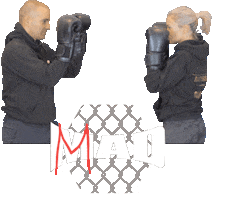 Punching Gloves Sticker by MMADen