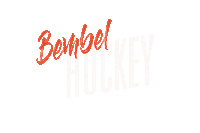 Loewenlive Bembelhockey Sticker by LöwenFrankfurt