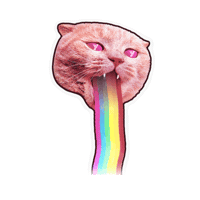 yorn yorntubers Sticker by Vodafone Portugal