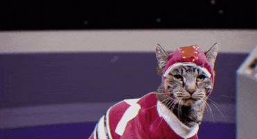 interested mighty morphin power rangers GIF by Power Rangers