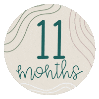 Baby Milestone Sticker