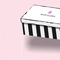 Shoes Shoe Box GIF by Marialuna