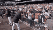 detroit tigers GIF by MLB