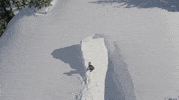 snowboard GIF by Red Bull