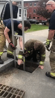 Manchester Firefighters Rescue Ducklings From Storm Drain