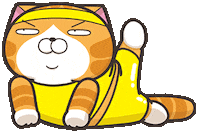 Cat Sport Sticker by MochiDad