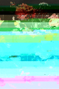 loretoriveros art flowers glitchart painting GIF