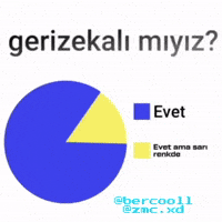 Zeka GIF