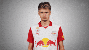 Show Love Heart GIF by FC Red Bull Salzburg