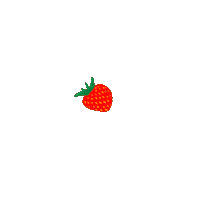 fruit strawberry Sticker