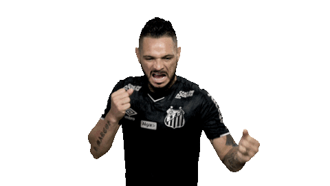 Para Sticker by Santos Futebol Clube