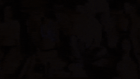 abrahamvazquez giphygifmaker music party summer GIF