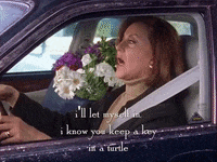 season 3 netflix GIF by Gilmore Girls 