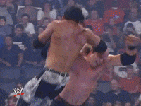 wwe sports wwe wrestling summerslam GIF