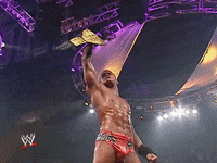 wwe sports wwe wrestling summerslam GIF