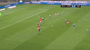 Football Paokfamily GIF by PAOK FC