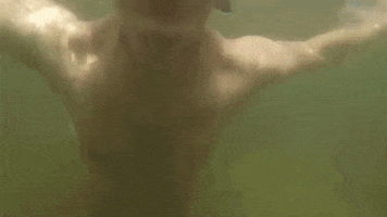 topshelf records prawn GIF