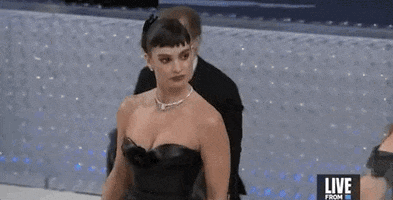 Met Gala GIF by E!