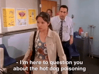 the mystery files of shelby woo nicksplat GIF