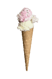 Frietenijsboutique ijs frietboutique schepijs frietboutiqueamsterdam Sticker