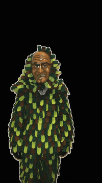 hopfendrescher narren fasend hopfedrescher GIF