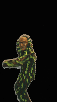 hopfendrescher narren fasend hopfedrescher GIF