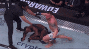 Mixed Martial Arts Sport GIF by UFC