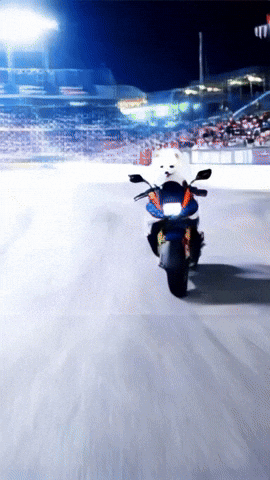 Motogp Motos GIF