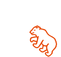 BerndorfBandGroup orangebear berndorf berndorfbears berndorfbandgroup Sticker