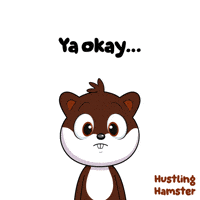 GIF by VeeFriends