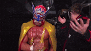 Wwe GIF