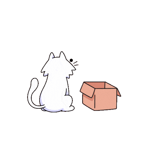 Cat If I Fits I Sits Sticker by doodles