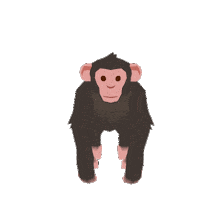 Chimpanzee Forester Sticker