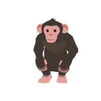 Chimpanzee Forester Sticker