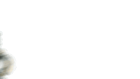 Ericosmos giphyupload giphystrobetesting attack plush Sticker