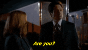 x files GIF by The X-Files