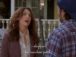 season 4 netflix GIF by Gilmore Girls 