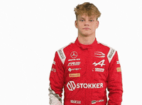 Paul Mercedes GIF by Prema Team