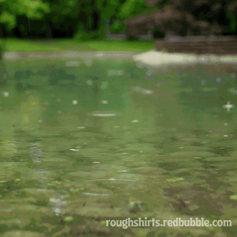 junkfeathers giphyupload sad frog raining GIF