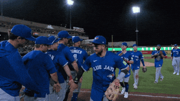 Blue Jays Baseball GIF by Toronto Blue Jays