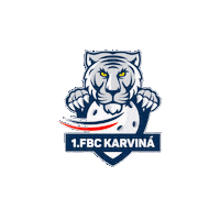 Floorball Sticker by Florbal Karviná