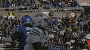 GIF by Ohio Bobcats