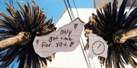 atlantic records tick tock GIF by Christian Lalama