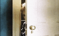 home alone film GIF
