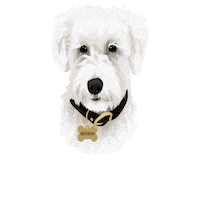 Bensonpp Sticker by Pickle's Pawtraits