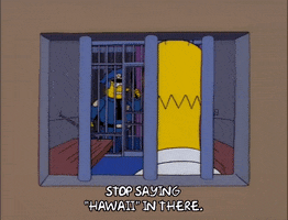 homer simpson GIF