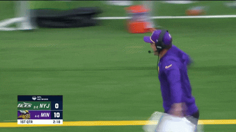 GIF by Minnesota Vikings